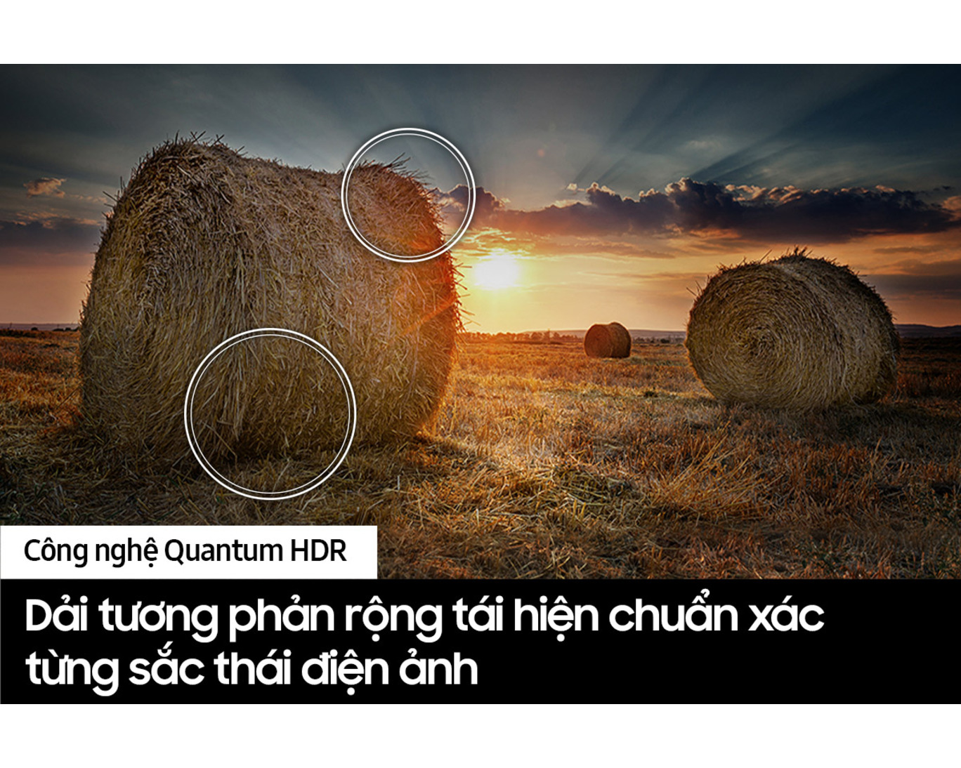 vn-qled-qe1d-qa55qe1dakxxv-544220756